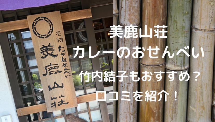 美鹿山荘カレーのおせんべい竹内結子もおすすめ 口コミを紹介 ちょっちblog